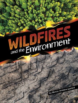 Wildfires and the Environment image number 0