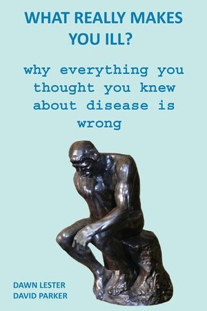 What Really Makes You Ill?: Why Everything You Thought You Knew About Disease Is Wrong image number 0