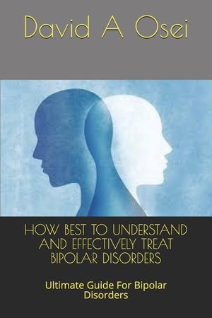 How Best to Understand and Effectively Treat Bipolar Disorders: Ultimate Guide For Bipolar Disorders image number 0