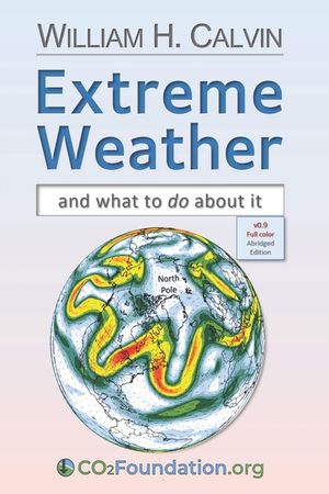 Extreme Weather: and what to do about it image number 0