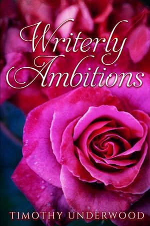 Writerly Ambitions: An Elizabeth and Darcy Story image number 0