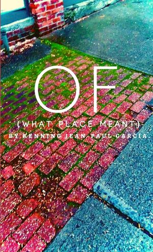 OF (What Place Meant) image number 0