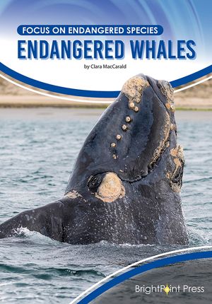 Endangered Whales image number 0