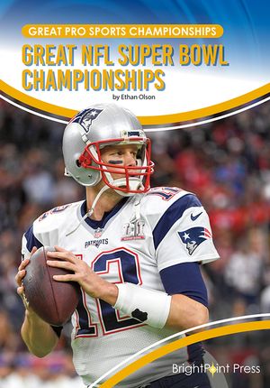 Great NFL Super Bowl Championships image number 0