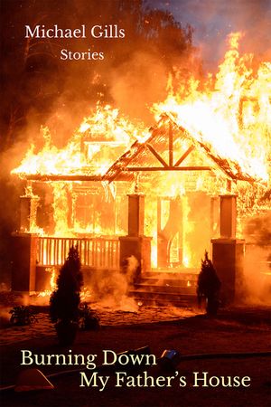 Burning Down My Father's House: Stories image number 0