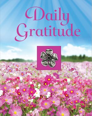 Daily Gratitude image number 0