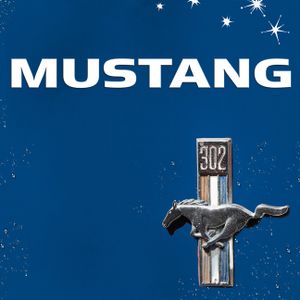 Mustang image number 0