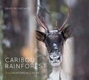 Caribou Rainforest: From Heartbreak to Hope image number 0