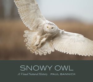 Snowy Owl: A Visual Natural History image number 0