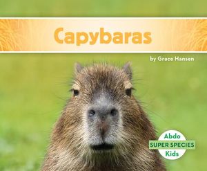 Capybaras image number 0
