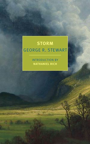 Storm image number 0