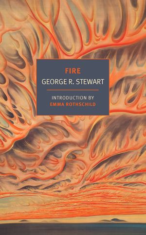 Fire image number 0