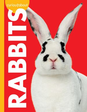 Curious about Rabbits image number 0