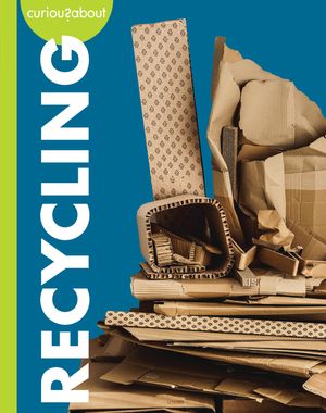 Curious about Recycling image number 0