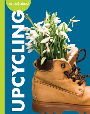 Curious about Upcycling image number 0