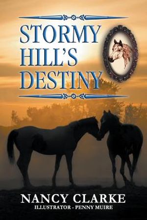 Stormy Hill's Destiny: Book 7 image number 0