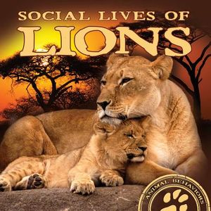 Social Lives of Lions image number 0