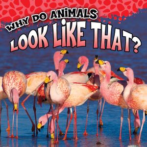 Why Do Animals Look Like That? image number 0
