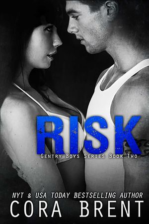 Risk image number 0