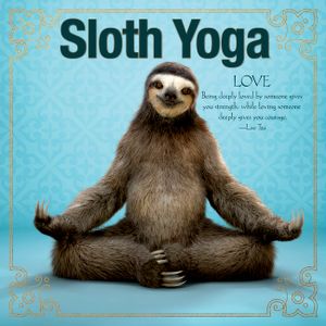 Sloth Yoga image number 0