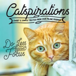 Catspirations image number 0