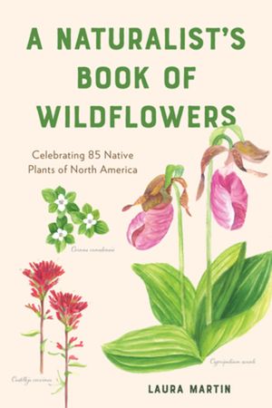 A Naturalist's Book of Wildflowers: Celebrating 85 Native Plants in North America image number 0
