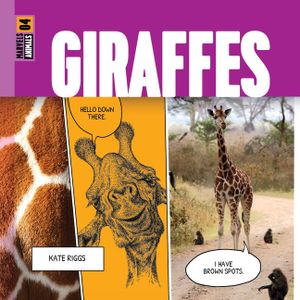 Giraffes image number 0