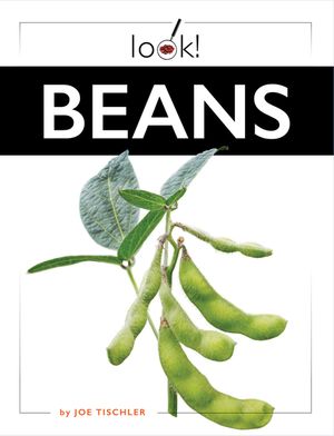 Beans image number 0
