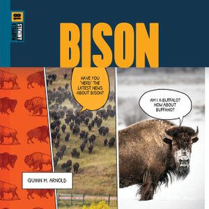 Bison image number 0