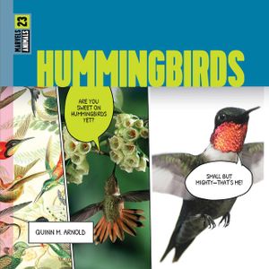 Hummingbirds image number 0