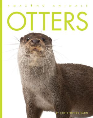 Otters image number 0
