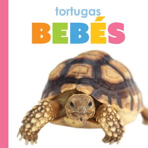 Tortugas Beb&eacute;s image number 0