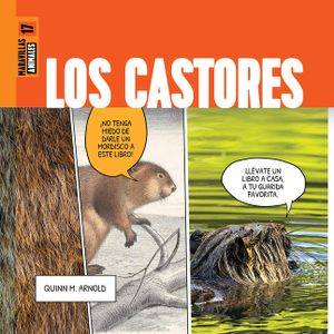 Los Castores image number 0