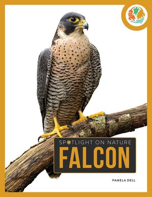 Falcon image number 0