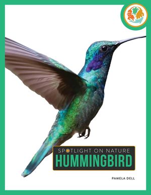 Hummingbird image number 0