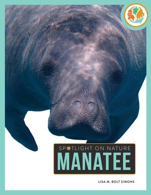 Manatee image number 0
