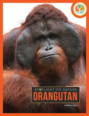 Orangutan image number 0