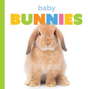 Baby Bunnies image number 0