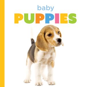 Baby Puppies image number 0