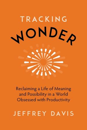 Tracking Wonder: Reclaiming a Life of Meaning and Possibility in a World Obsessed with Productivity image number 0