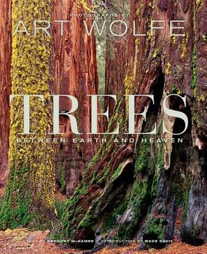 Trees: Between Earth and Heaven image number 0