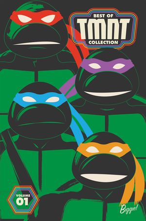 Best of Teenage Mutant Ninja Turtles Collection, Vol. 1 image number 0
