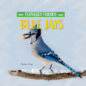 Blue Jays image number 0