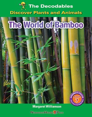 The World of Bamboo image number 0