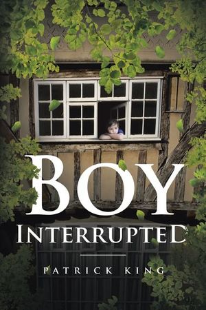 Boy Interrupted image number 0