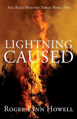 Lightning Caused image number 0