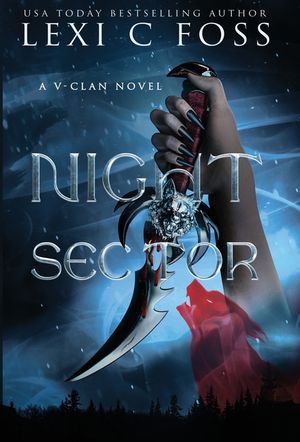 Night Sector image number 0