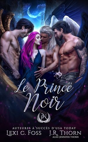 Le prince Noir image number 0