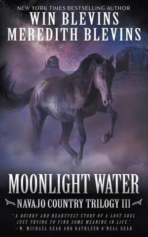 Moonlight Water: A Historical Mystery Series image number 0