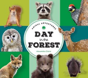 Animal Adventures: Day in the Forest image number 0